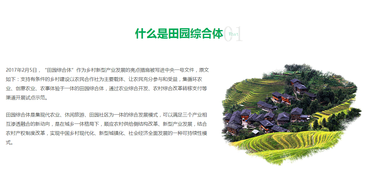 田园综合体
